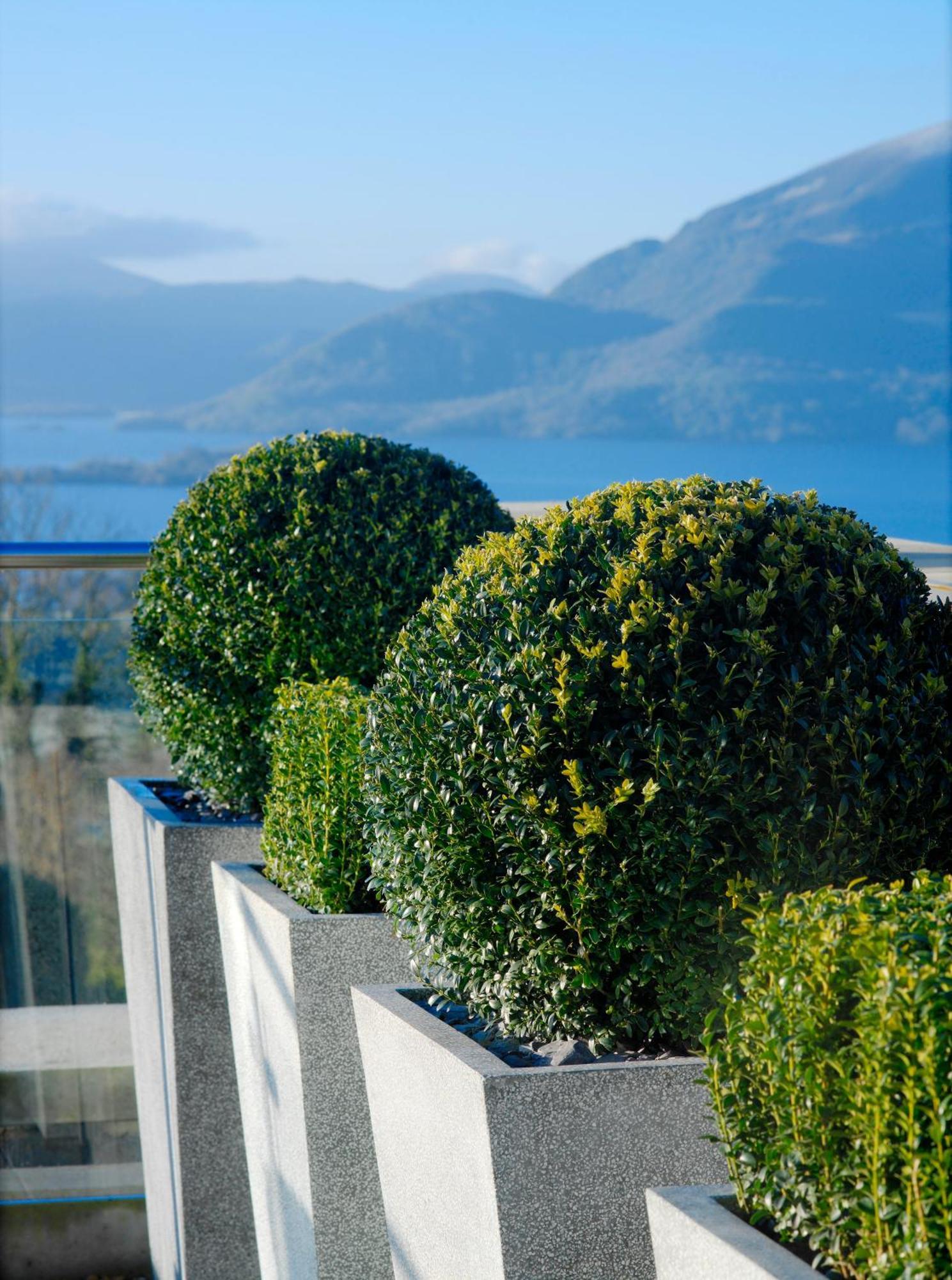 Aghadoe Heights Hotel & Spa Киларни Екстериор снимка Boxwood